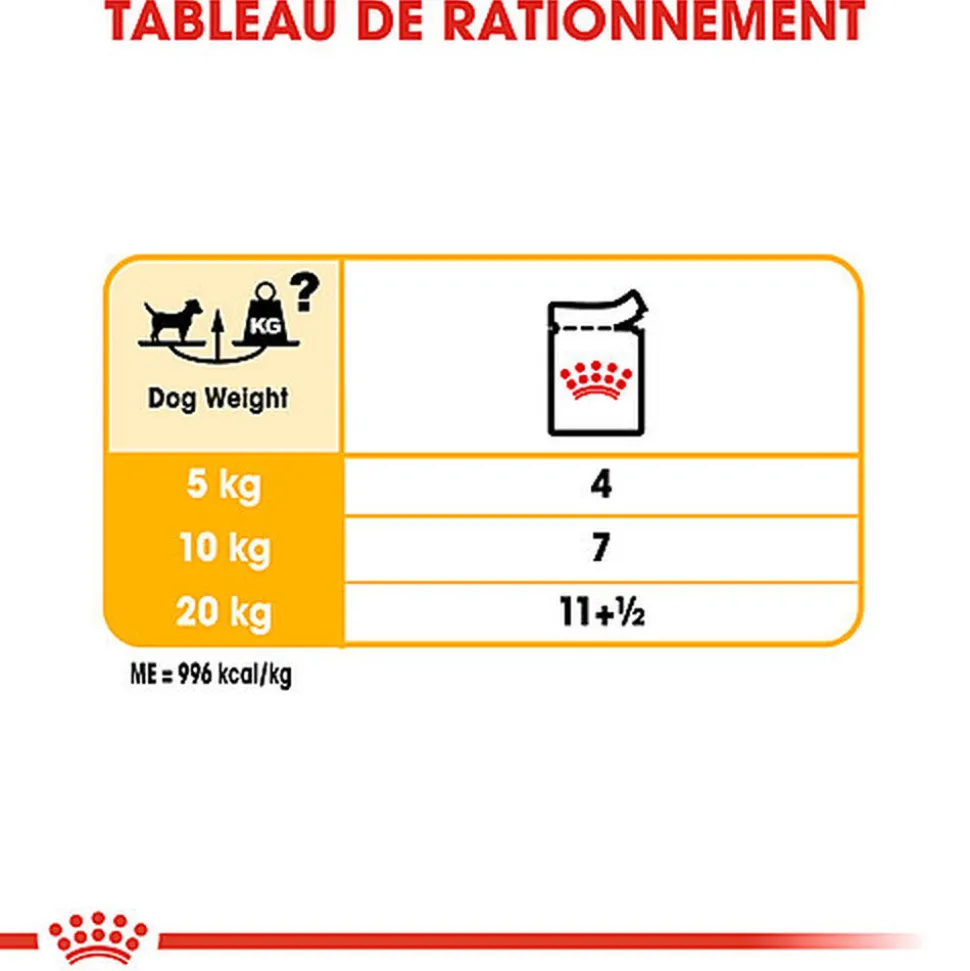 Royal Canin - Sachets Dermacomfort en Mousse pour Chien - 12X85g