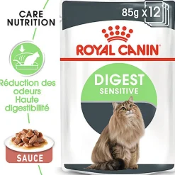 Royal Canin - Sachets Digestive Care sauce pour Chat - 12x85g