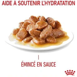 Royal Canin - Sachets Hair&Skin Sauce pour Chat - 12x85g