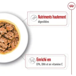 Royal Canin - Sachets Humides en Sauce X-Small Adult - 12x85g