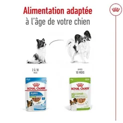 Royal Canin - Sachets Humides en Sauce X-Small Adult - 12x85g