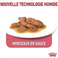 Royal Canin - Sachets Indoor 7+ en Sauce pour Chat - 12x85g