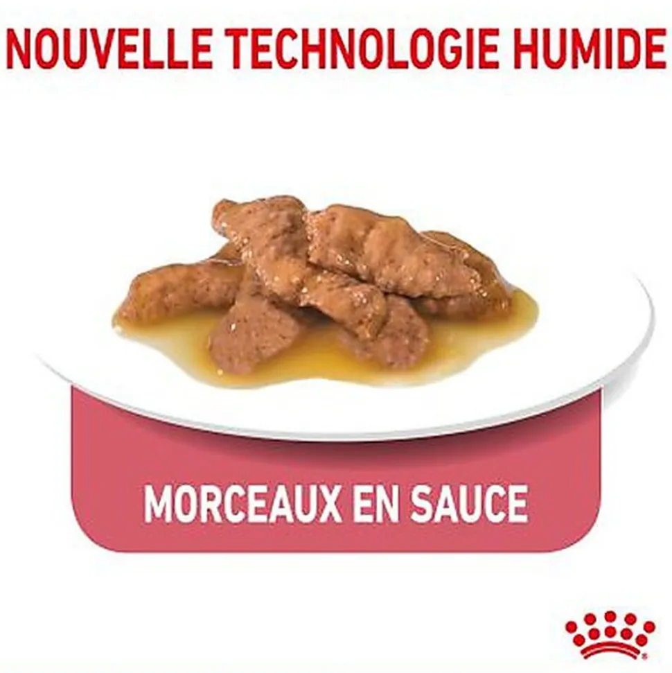 Royal Canin - Sachets Indoor 7+ en Sauce pour Chat - 12x85g