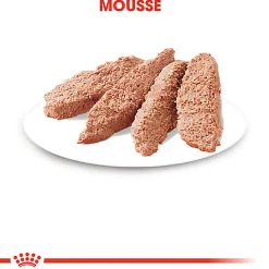 Royal Canin - Sachets Instinctive en Mousse pour Chats - 12x85g