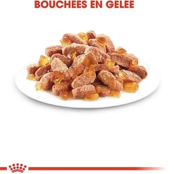 Royal Canin - Sachets Kitten Instinctive en Gelée pour Chaton - 12x85g