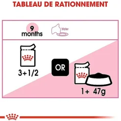Royal Canin - Sachets Kitten Sterilised en Gelée pour Chaton - 12x85g