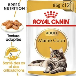 Royal Canin - Sachets Maine Coon en Sauce pour Chat - 12x85g