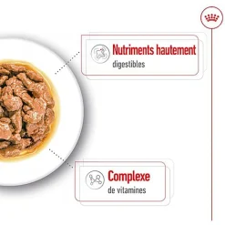 Royal Canin - Sachets Mini Adult en Sauce pour Chien - 12X85g