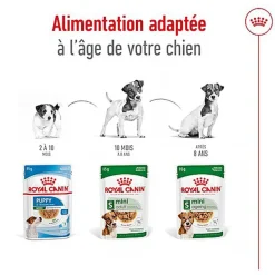 Royal Canin - Sachets Mini Adult en Sauce pour Chien - 12X85g