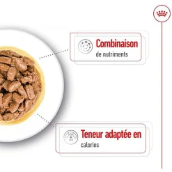 Royal Canin - Sachets Mini Ageing 12+ en Sauce pour Chien - 12X85g