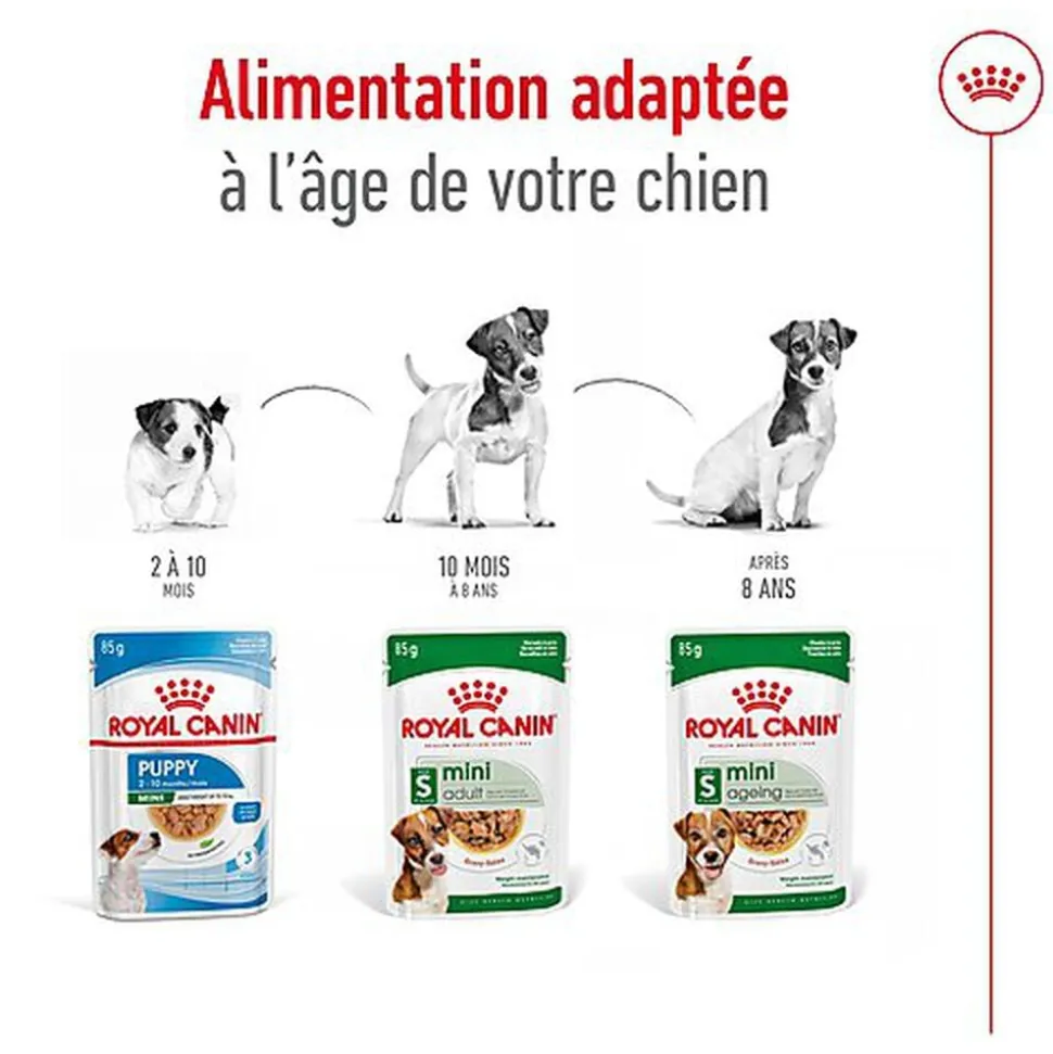 Royal Canin - Sachets Mini Ageing 12+ en Sauce pour Chien - 12X85g