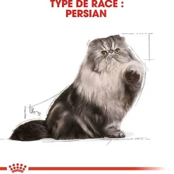 Royal Canin - Sachets Persian en Mousse pour Chat - 12x85g