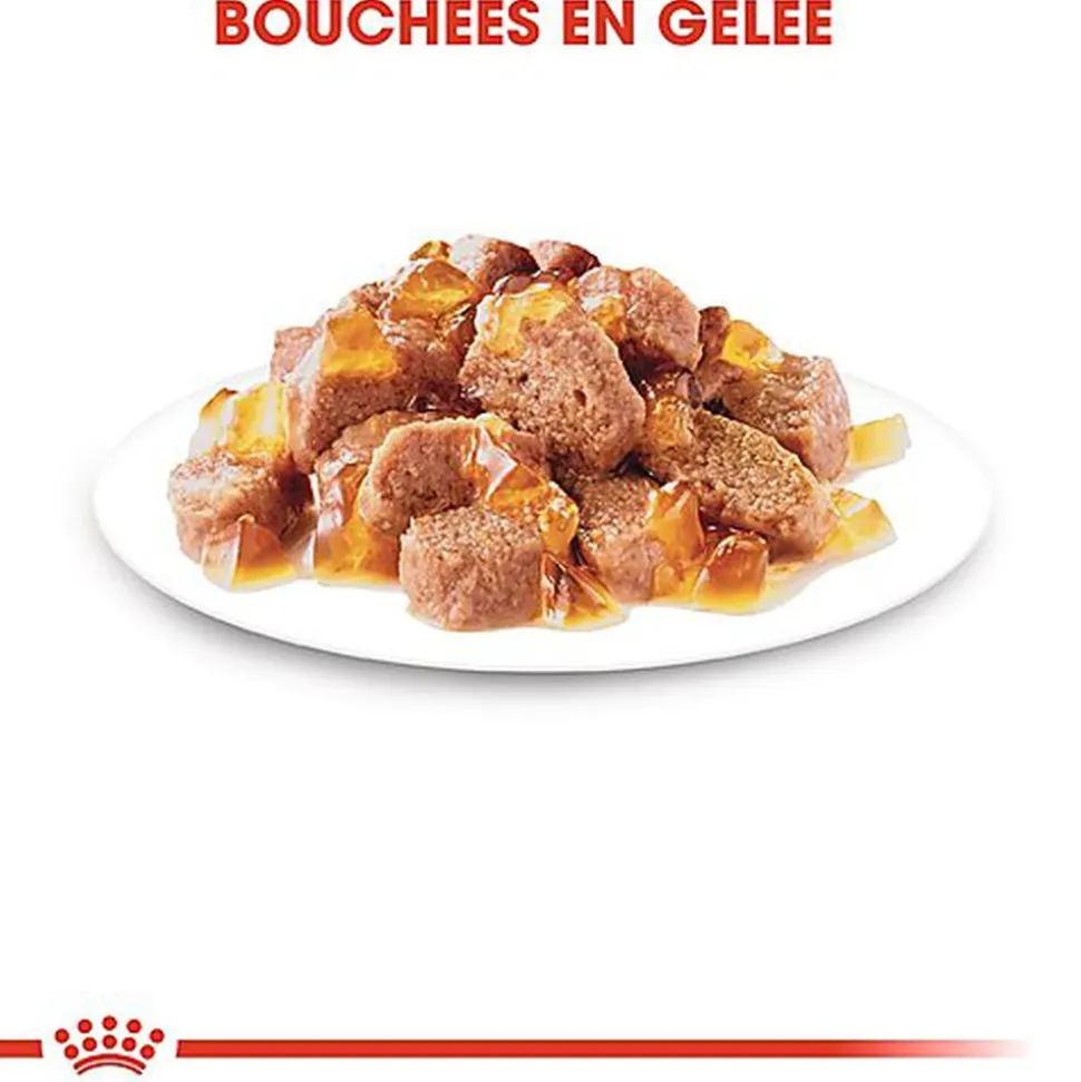 Royal Canin - Sachets Sterilised en Gelée pour Chat - 12x85g