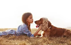 Scalibor - Collier Antiparasitaire pour Chien