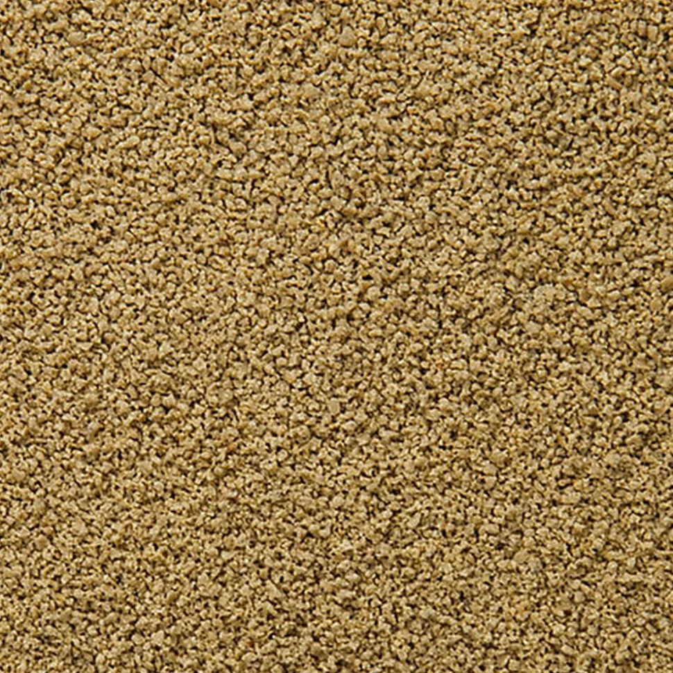 Sera - Aliments Spécial Élevage ImmunPro Mini pour Poissons - 250ml