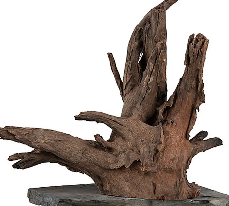 Sera - Racine Scaper Wood pour Aquarium - L