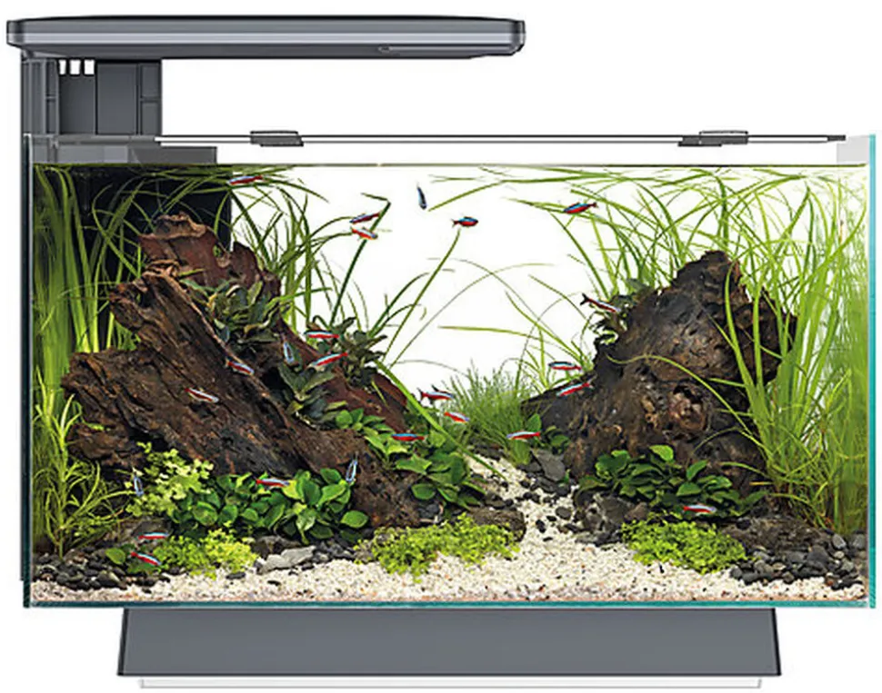 Superfish - Aquarium Quadro 40 Multi Colour - Noir