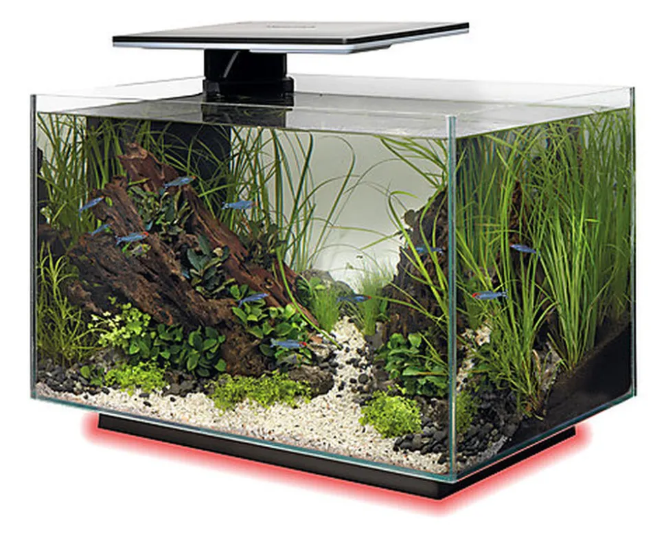 Superfish - Aquarium Quadro 40 Multi Colour - Noir