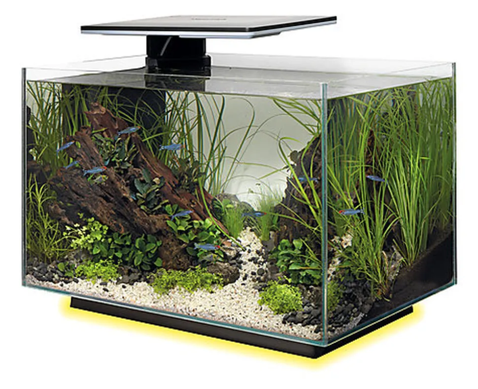 Superfish - Aquarium Quadro 40 Multi Colour - Noir