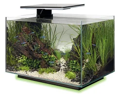 Superfish - Aquarium Quadro 40 Multi Colour - Noir