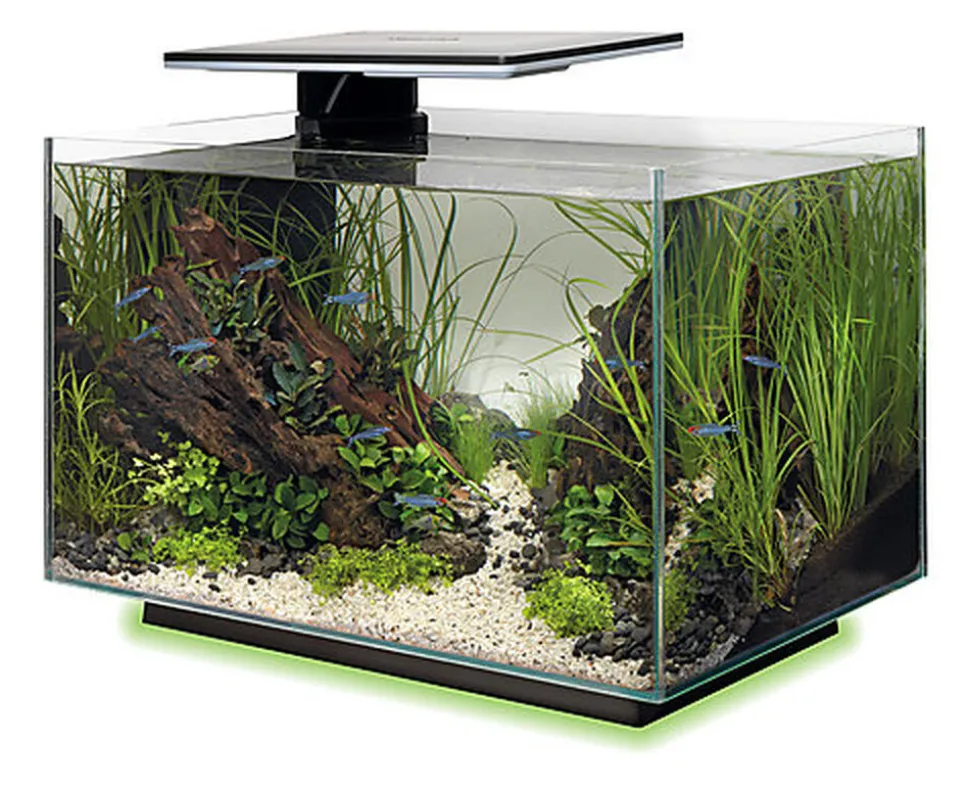 Superfish - Aquarium Quadro 40 Multi Colour - Noir