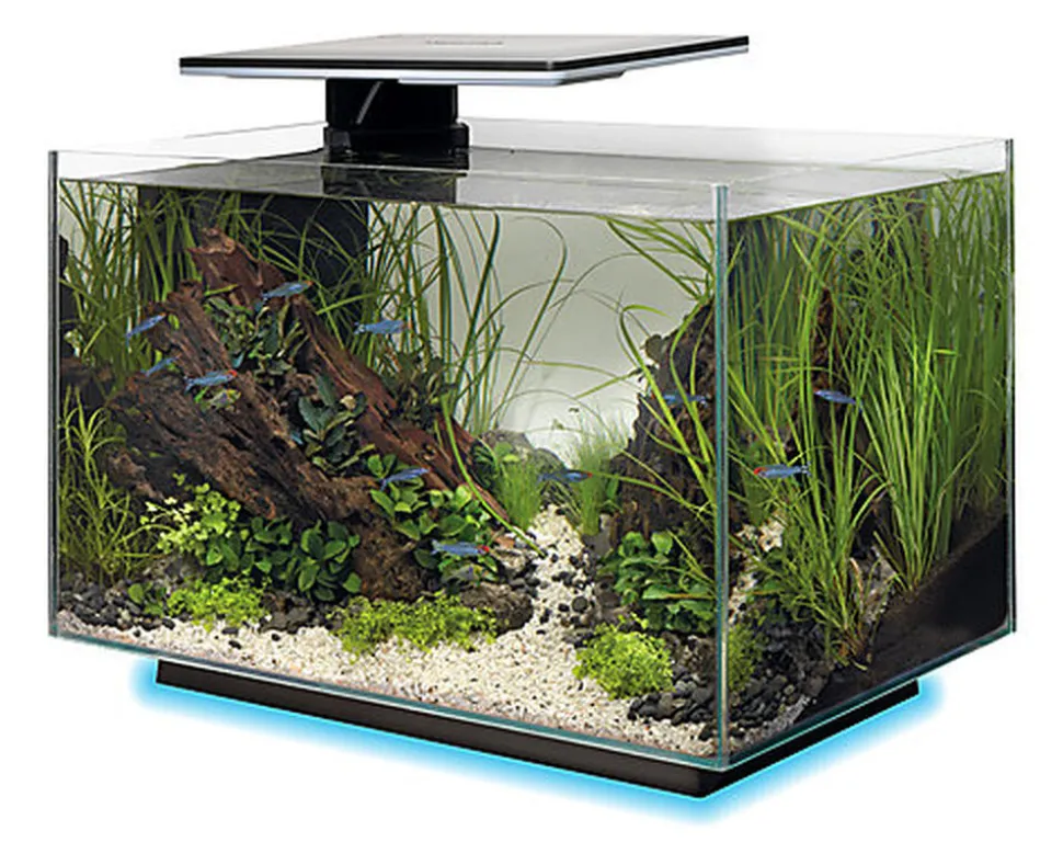 Superfish - Aquarium Quadro 40 Multi Colour - Noir