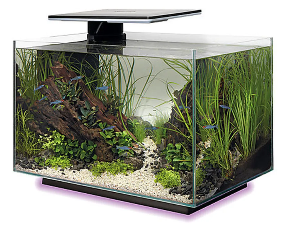 Superfish - Aquarium Quadro 40 Multi Colour - Noir
