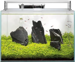 Superfish - Aquarium SCAPER 60 en Verre Crystal Clear - 60L
