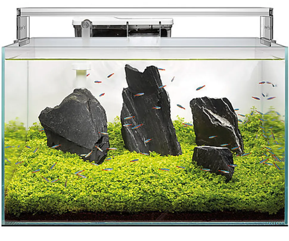 Superfish - Aquarium SCAPER 70 - 60x40x28cm