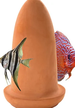 Superfish - Cône de Reproduction pour Discus et Scalaires