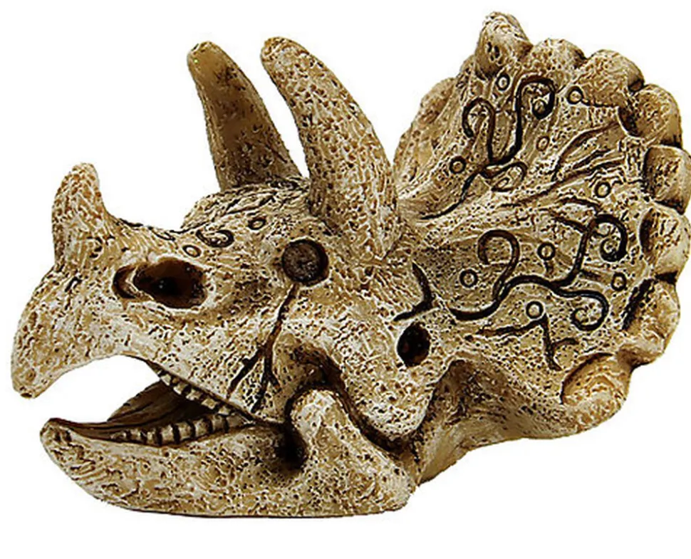 Superfish - Décoration Skull Triceratops pour Aquarium - S