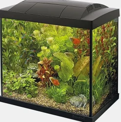 Superfish - Kit Aquarium Start 30 Tropical Noir - 27L
