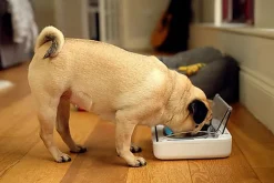 Sure PetCare - Bol Hermétique SureFeed pour Chat