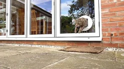 Sure PetCare - Chatière SureFlap à puce Électronique DualScan pour Chat - Blanc