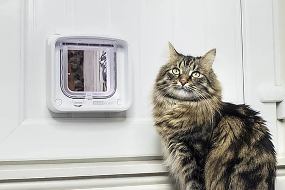 Sure PetCare - Chatière SureFlap à puce Électronique Connect pour Chat - Blanc