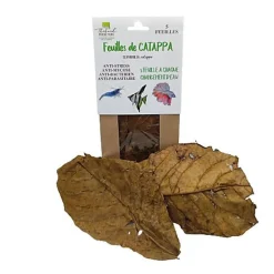 Thibaud - Feuilles de Catappa pour Poissons d'Eau Douce