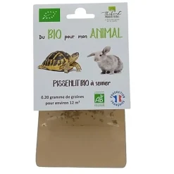 Thibaud - Pissenlit BIO à Semer - 0,20g