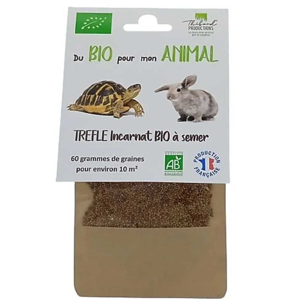 Thibaud - Trèfle Incarnat BIO à Semer - 60g