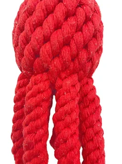 Tootoy! - Hippopotame Poulpe Corde