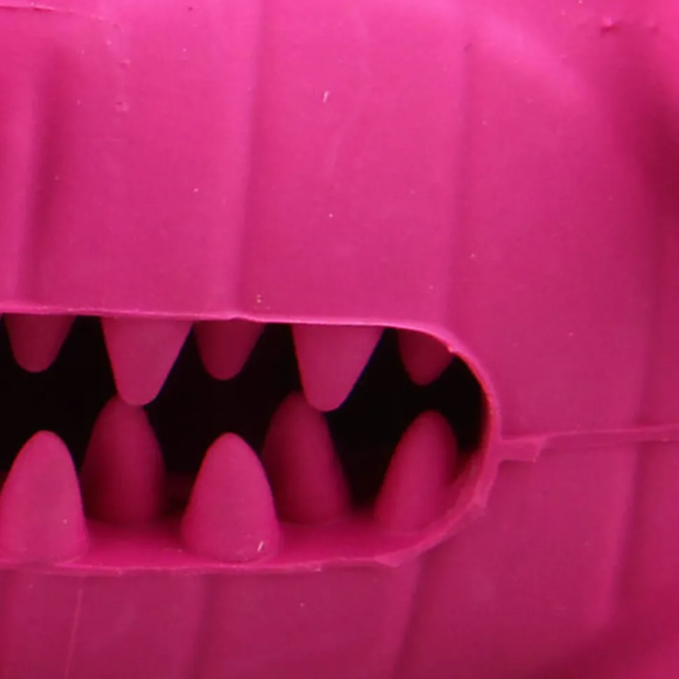 Tootoy! - Jouet 2 en 1 Dino