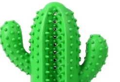 Tootoy! - Jouet Dentaire Cactus