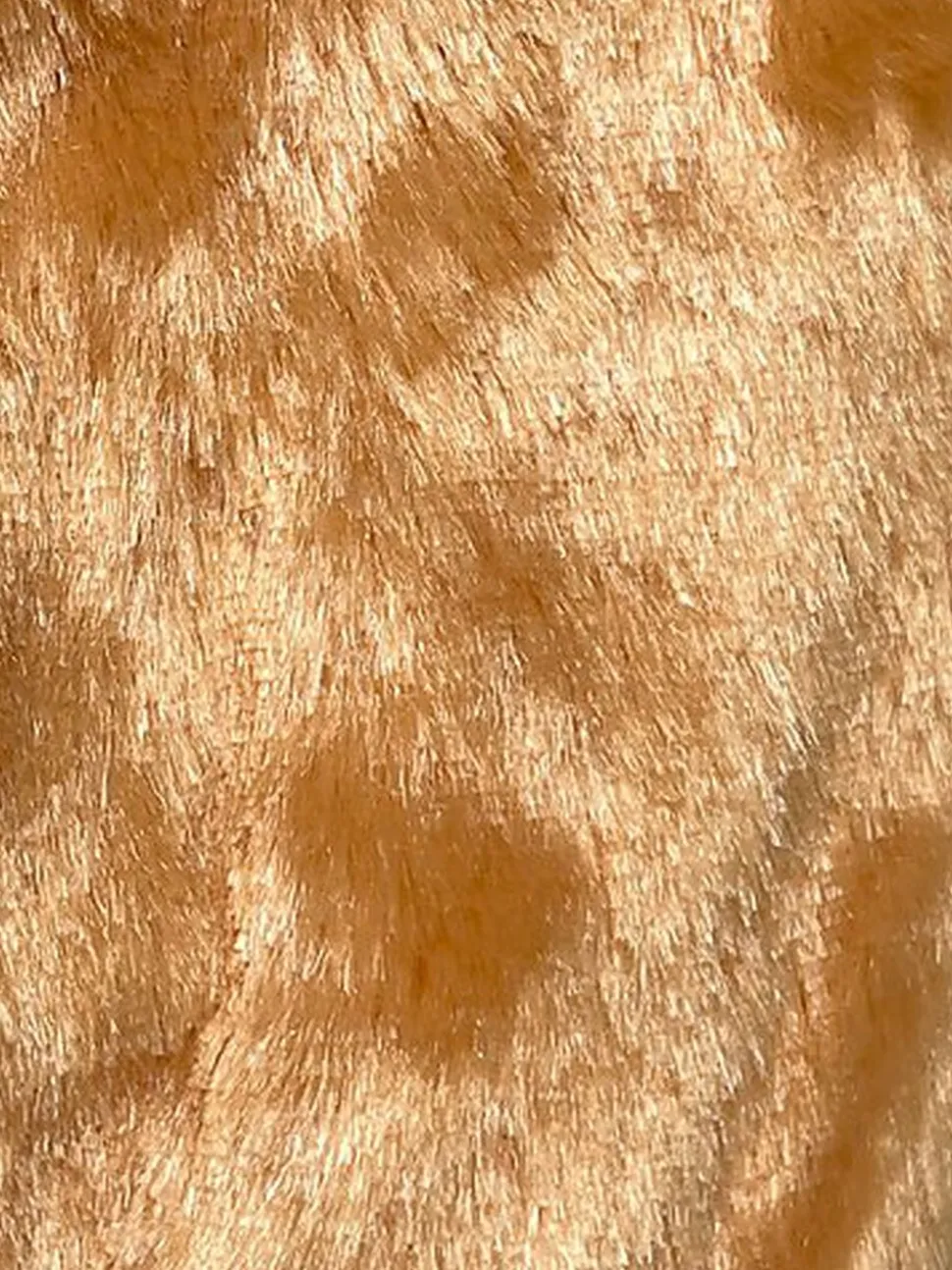 Tootoy! - Peluche Ecureuil