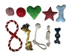 Tootoy! - Set Jeux d'Exploration à Mâcher