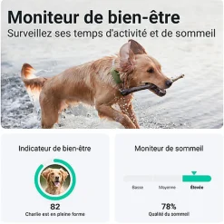Tractive - Traceur GPS DOG pour Chiens - XL