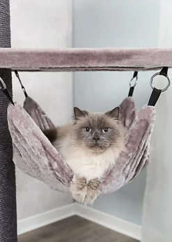 Trixie - Arbre à chat XXL Ramon Cappuccino pour Chat - 133cm