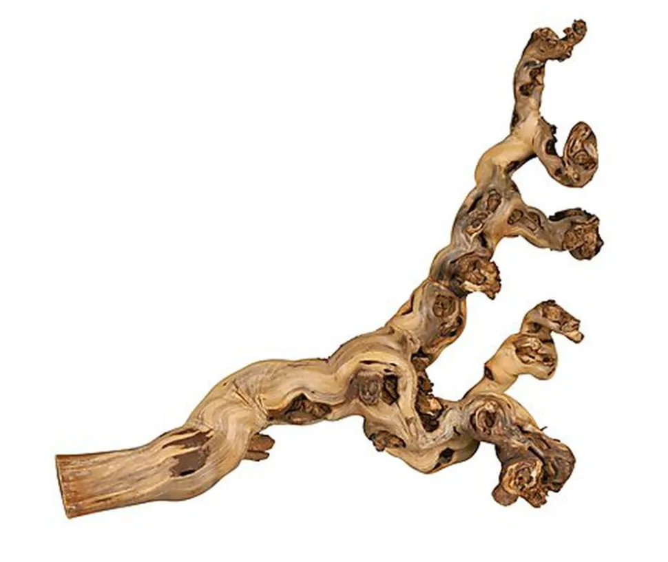 Trixie - Branche Pied de Vigne Naturelle pour Terrarium - XL