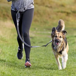 Trixie - Ceinture Ventrale avec Laisse Doublée en Néoprène - 70~130 cm/9 cm
