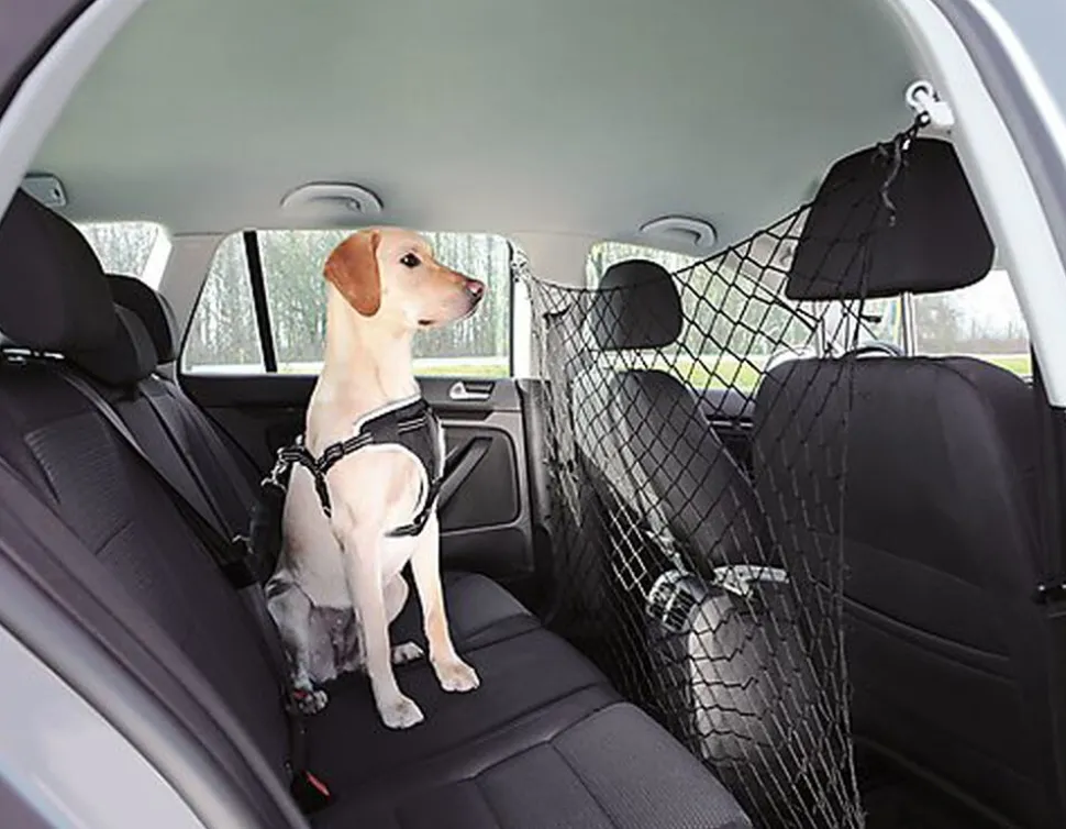 Trixie - Filet pour Voiture pour Chien - 120×100cm