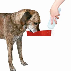 Trixie - Gourde avec Ecuelle pour Chien