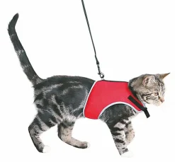 Trixie - Harnais Doux et Laisse de 1,20m pour Chat - 24/42cm